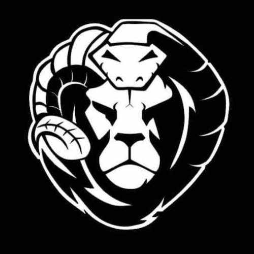 Organization logo БК Химера